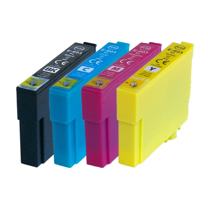 ECOPrinter Epson 603P1 | Pack de 4 cartouches ECOPrinter équivalent à Epson 603 XL  | Famille Epson 603 | 1 noir et 3 Couleurs individuelles | 500/350 pages